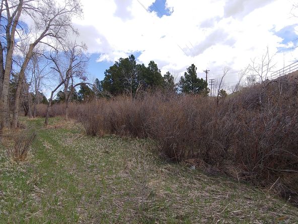 Land For Sale: 2290 Old Ranch Rd, Colorado Springs, CO 80908